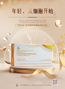  PQQ盐¹金顶侧耳浓缩粉固体饮料